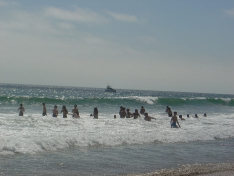 1dil1insan Amerika Yaz Okulları