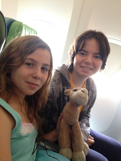 1dil1insan Amerika Yaz Okulları