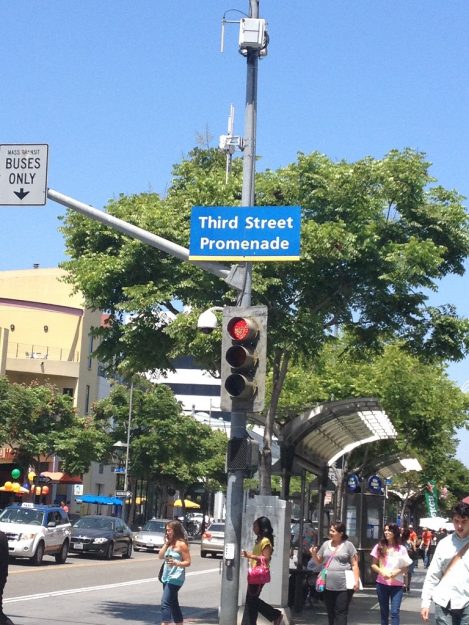 1dil1insan Amerika Yaz Okulları