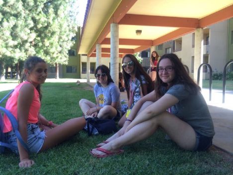 1dil1insan Amerika Yaz Okulları