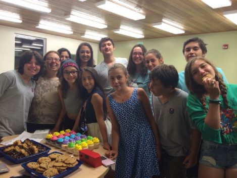 1dil1insan Amerika Yaz Okulları